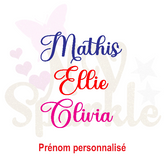 Prénom personnalisé flex thermocollant Diary